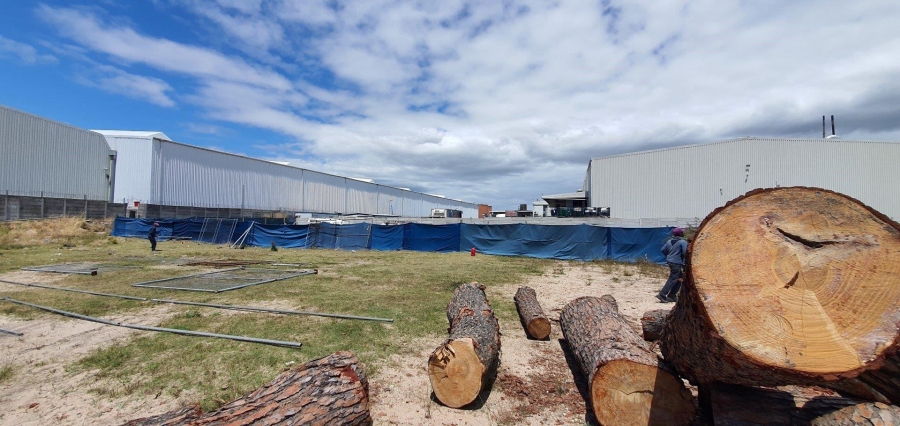 To Let commercial Property for Rent in Airport Industria Western Cape